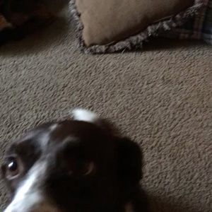 Meet your Posher, Madigan